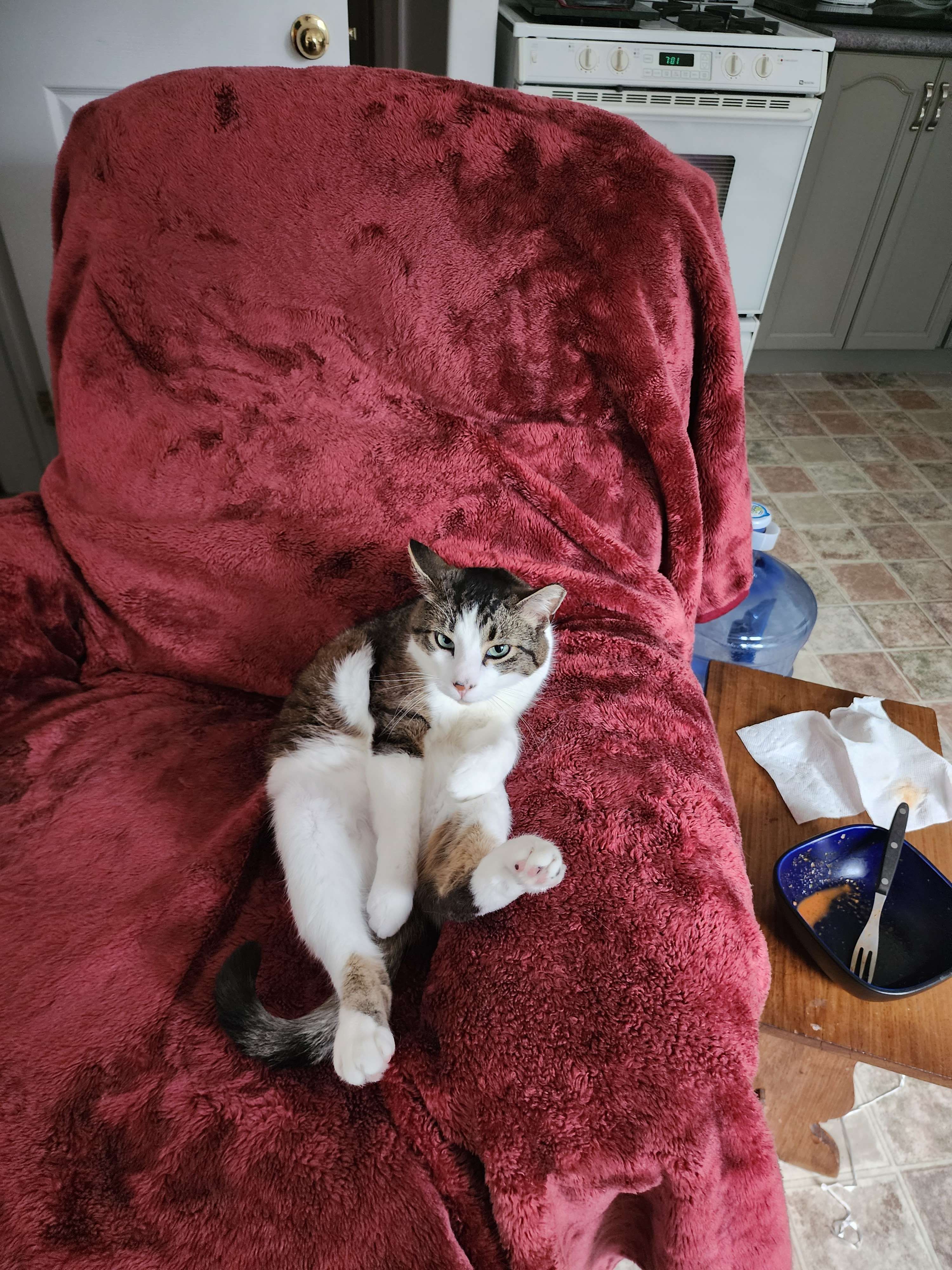 Huckleberry on June 8th, 2023