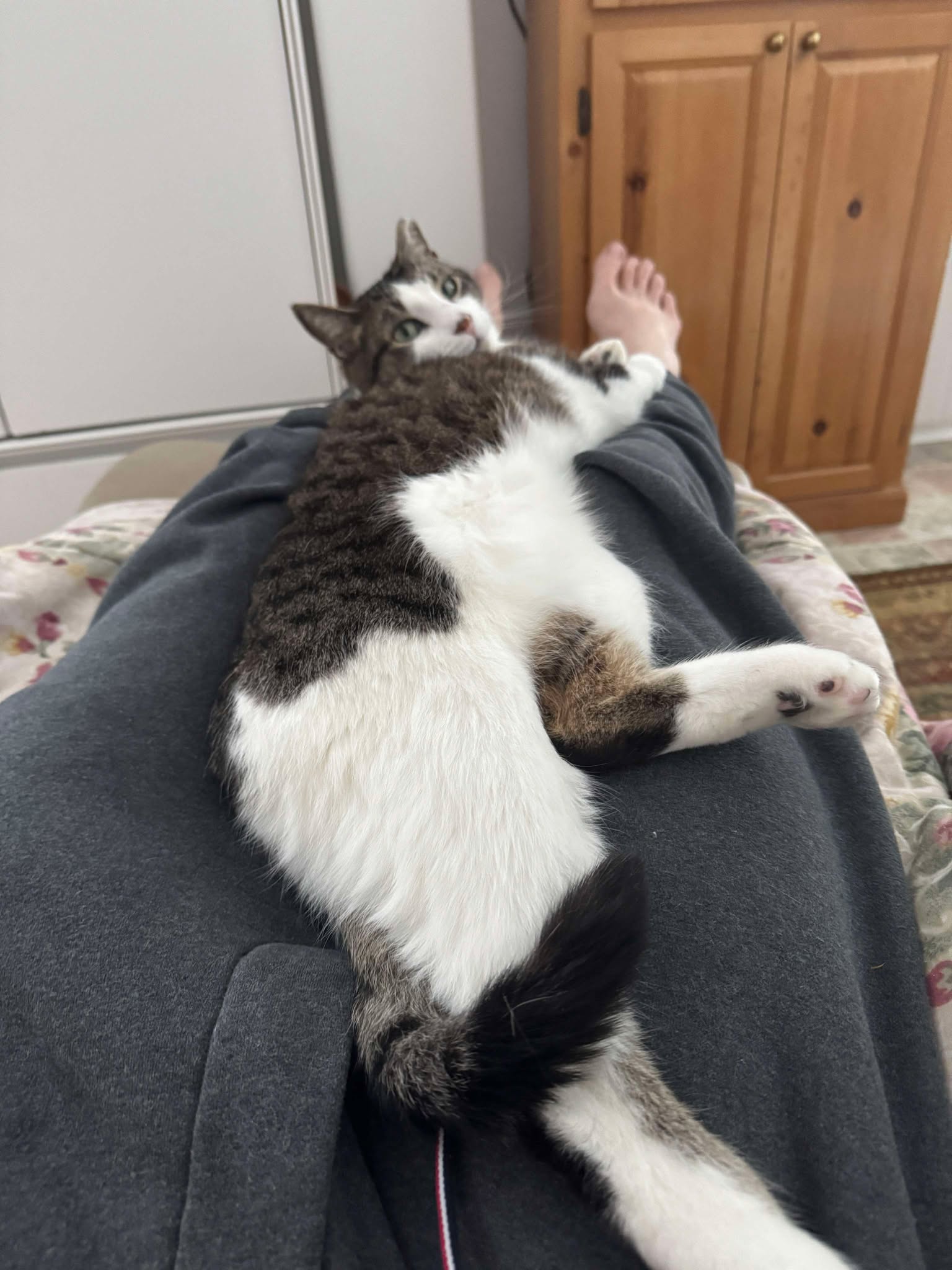 Huckleberry on January 28th, 2025