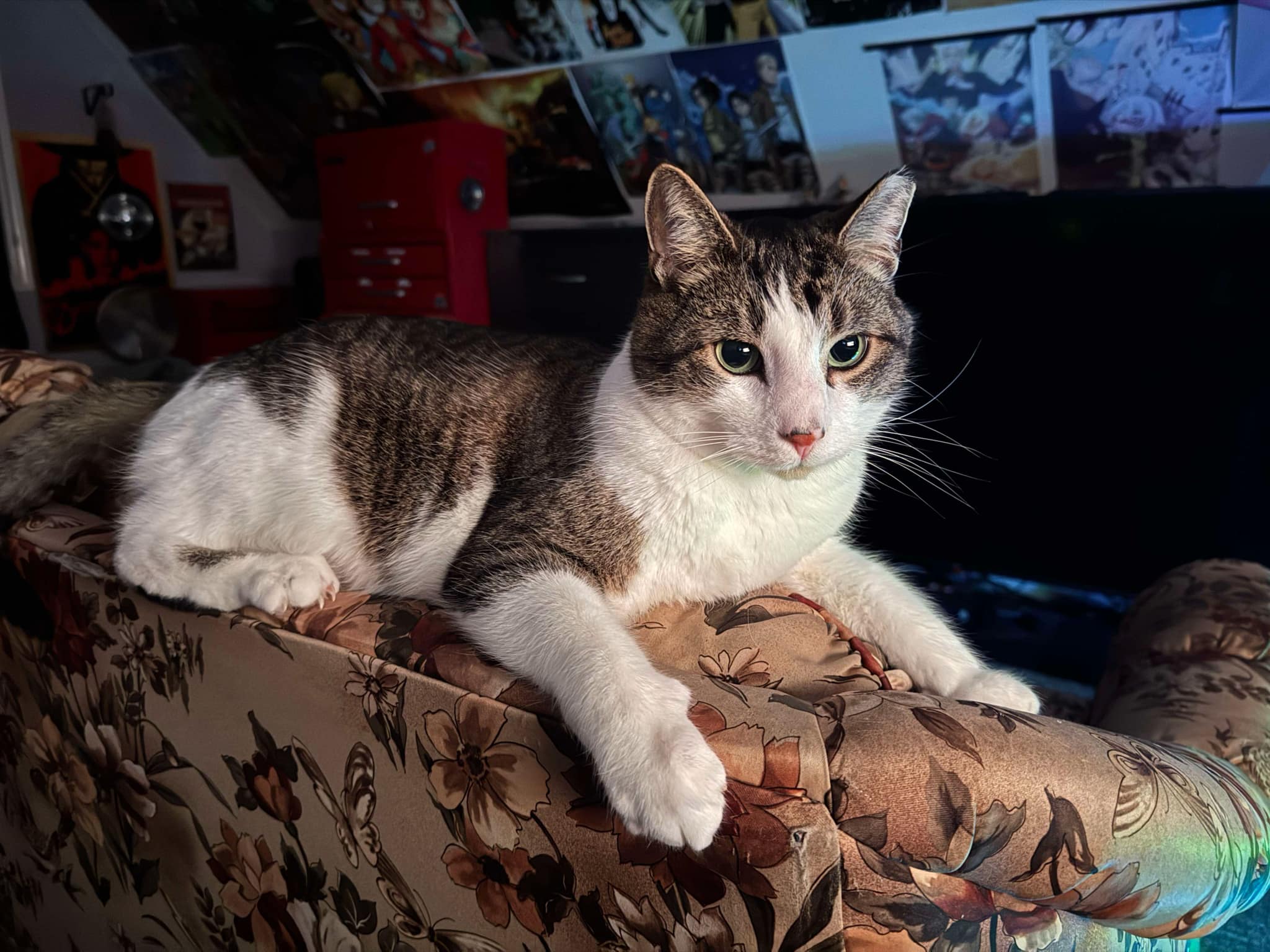 Huckleberry on January 29th, 2025