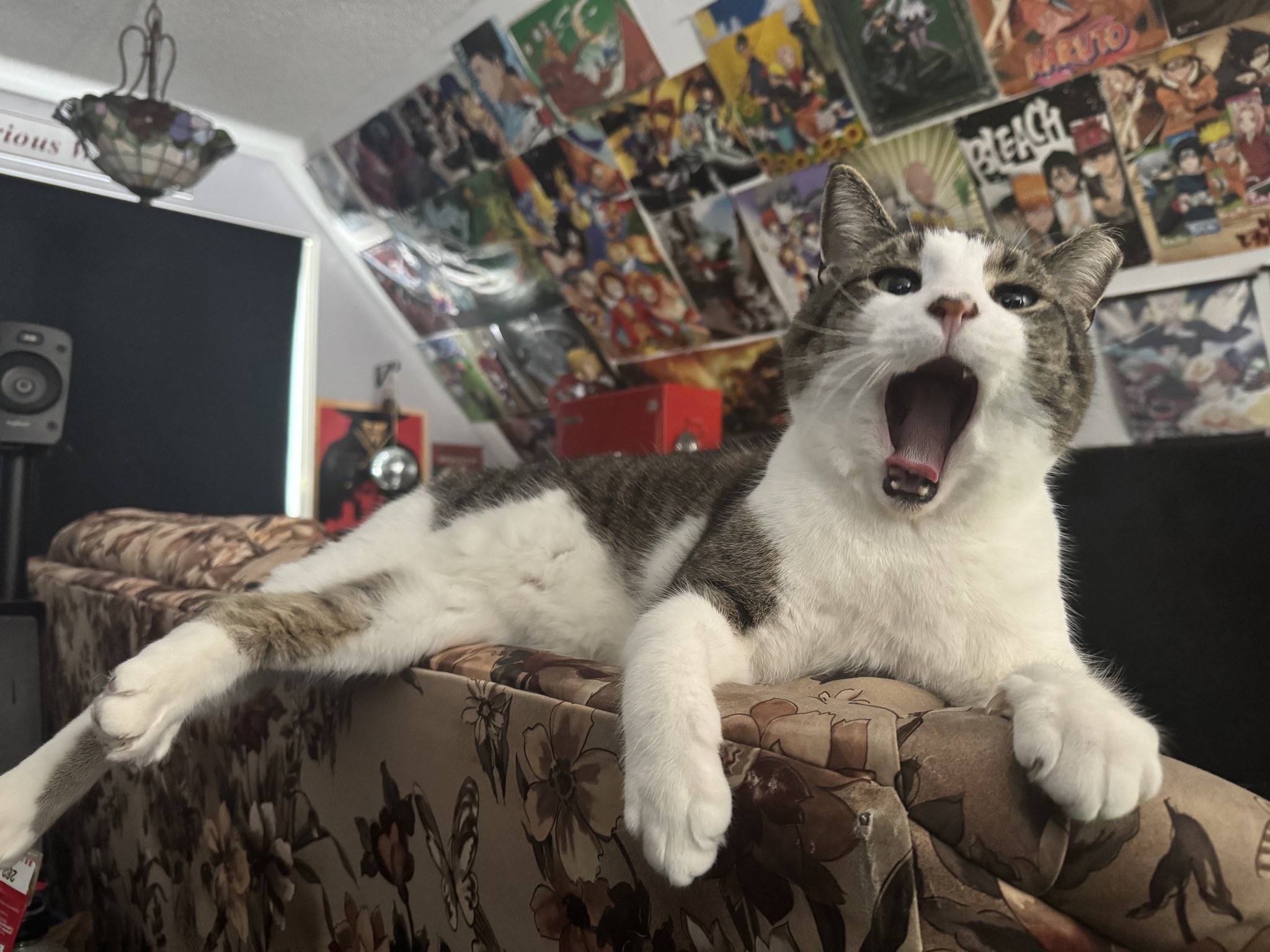 Huckleberry Lil Yawn