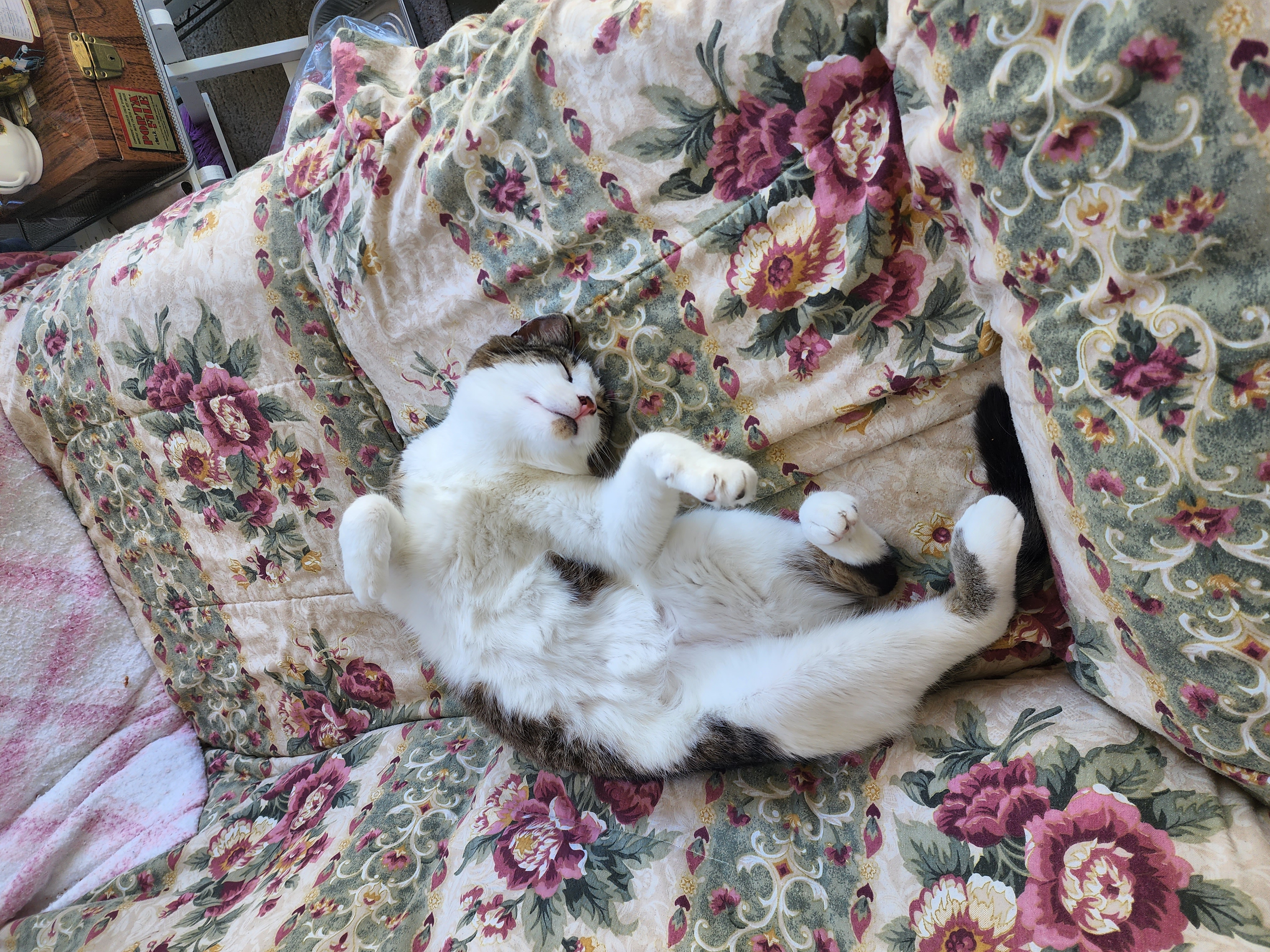 June 23rd, 2022, on the back deck catio