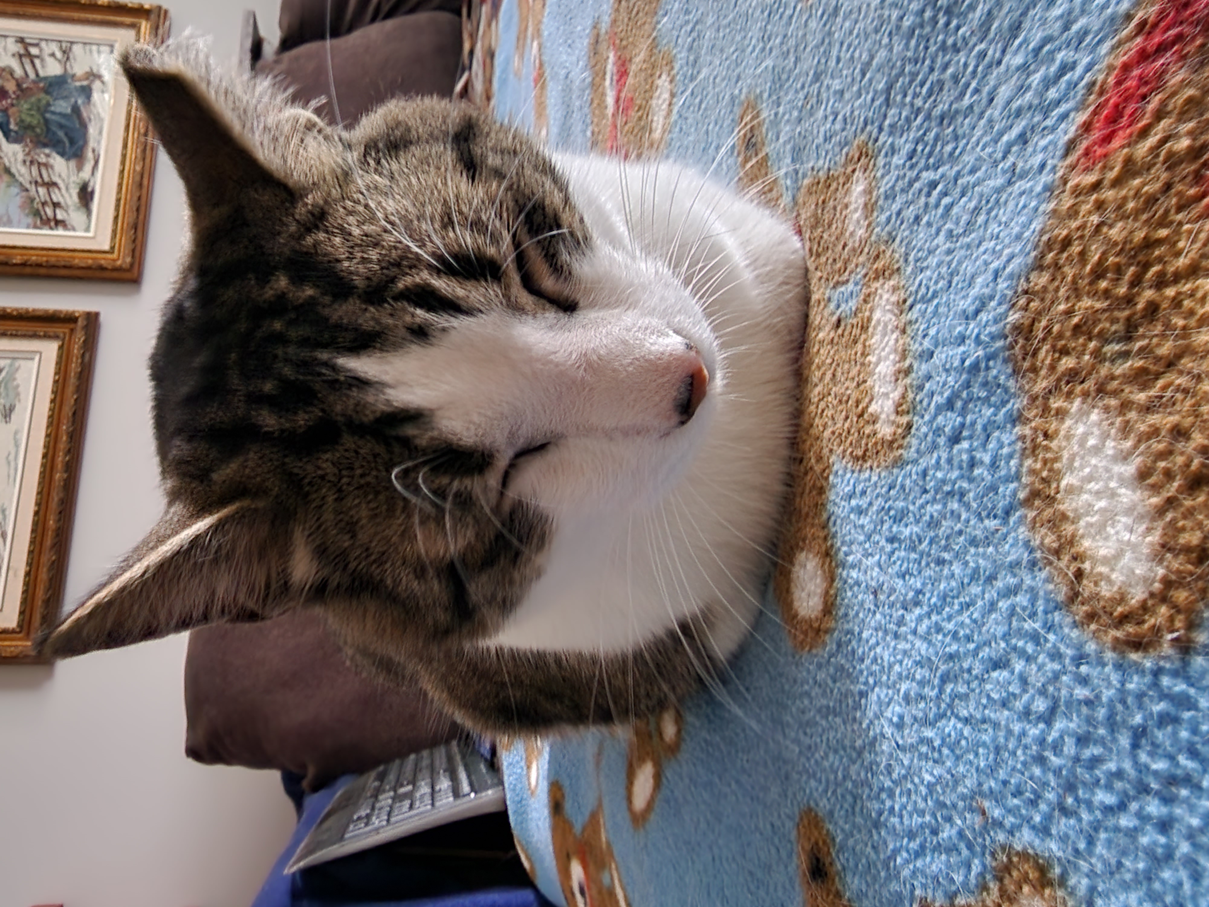 June 19th, 2022, Huckleberry loafing