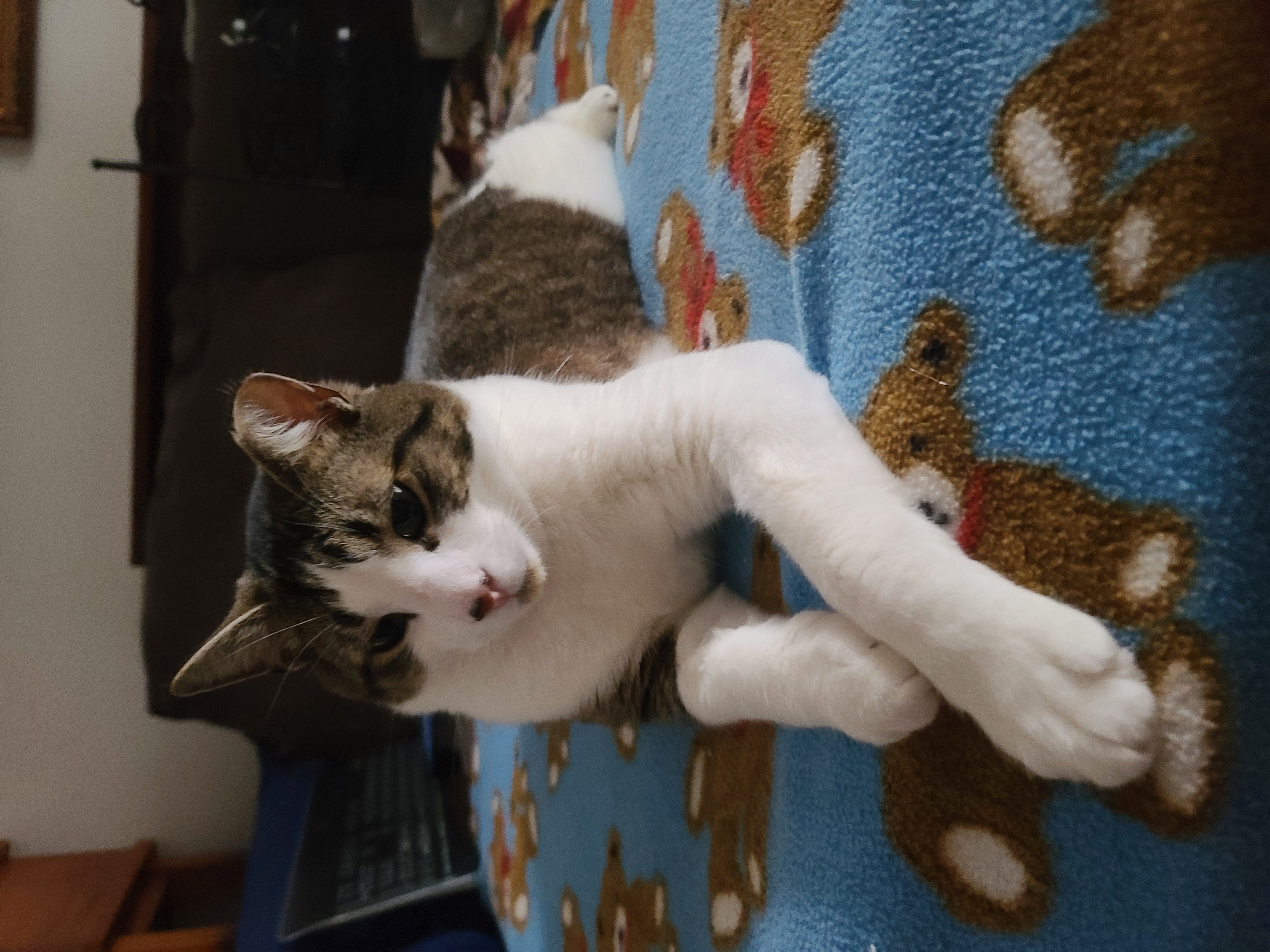 March 25th, 2022, Posing