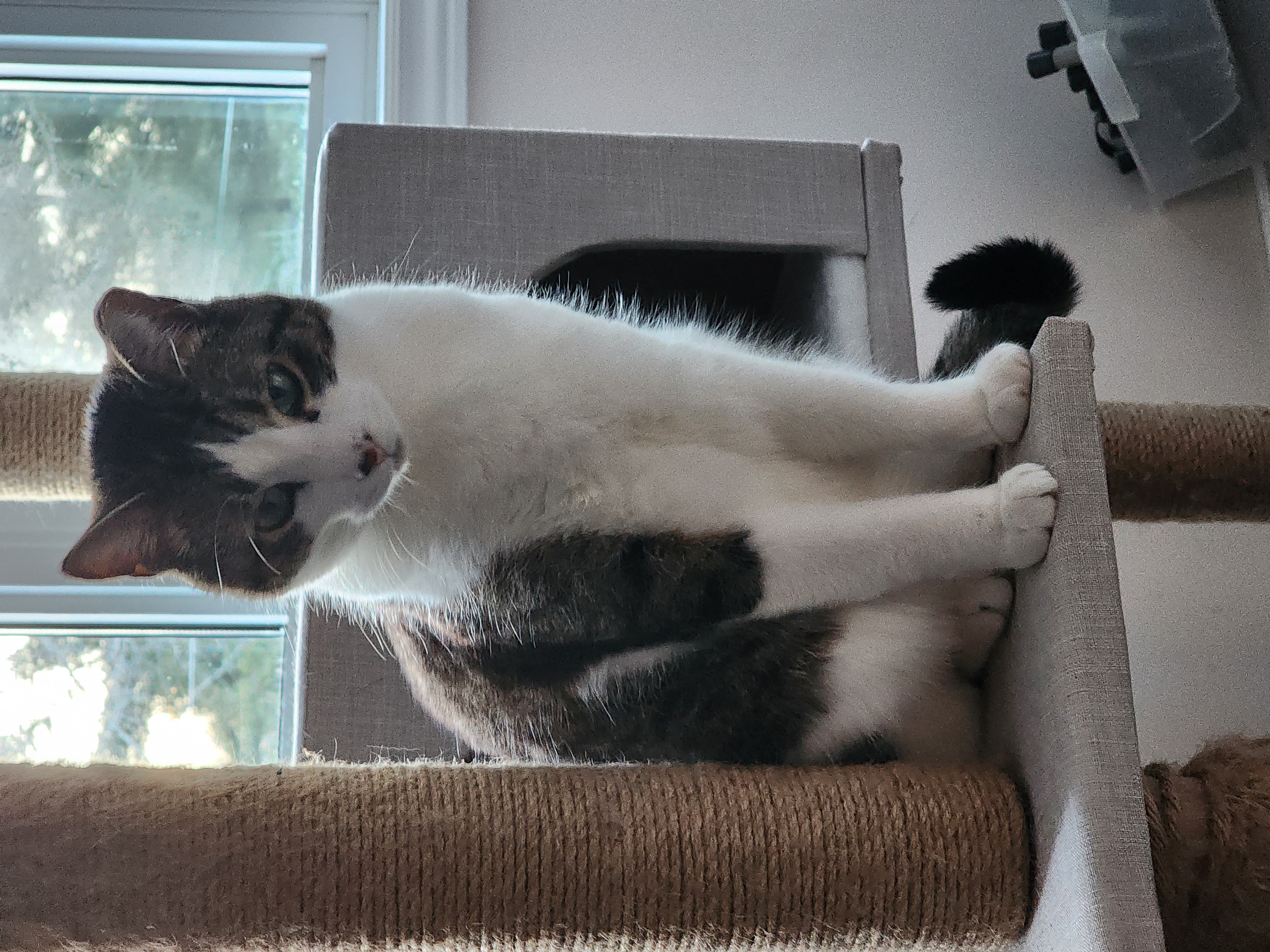 March 4th, 2023, Looking Proud