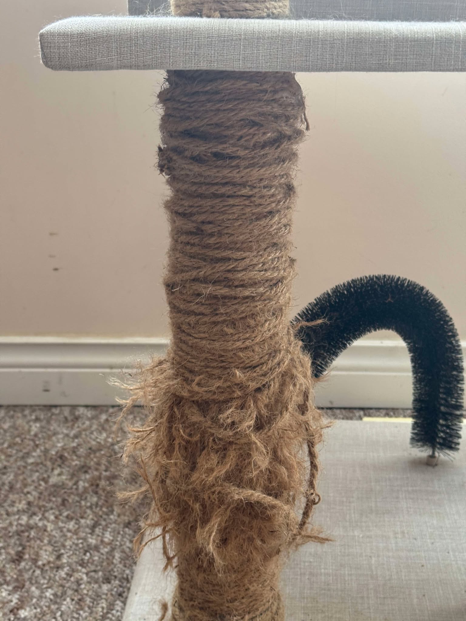 Huckleberry's Scratcher Fix