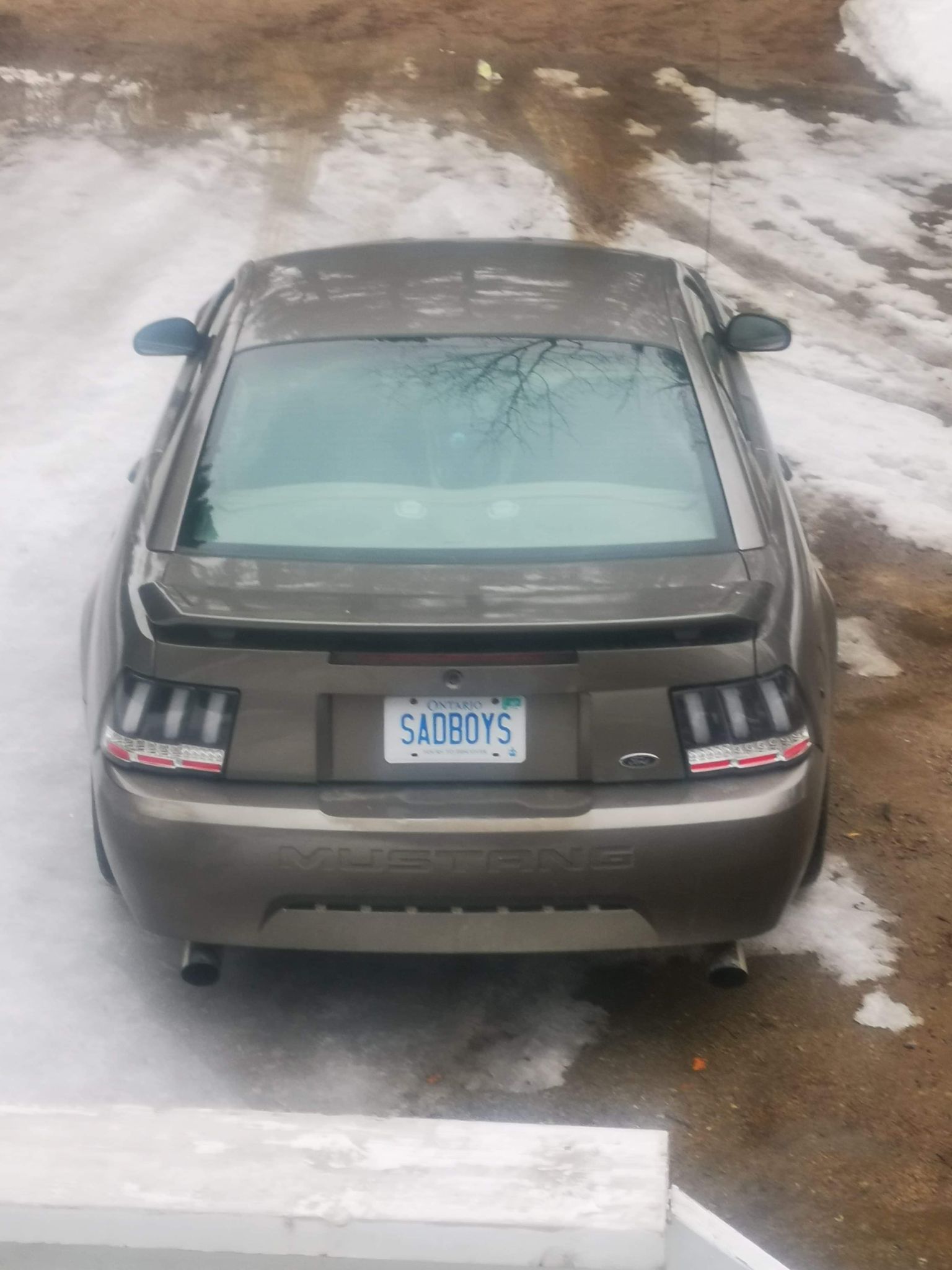 Around 2021, in the winter, sitting waiting for summer.
