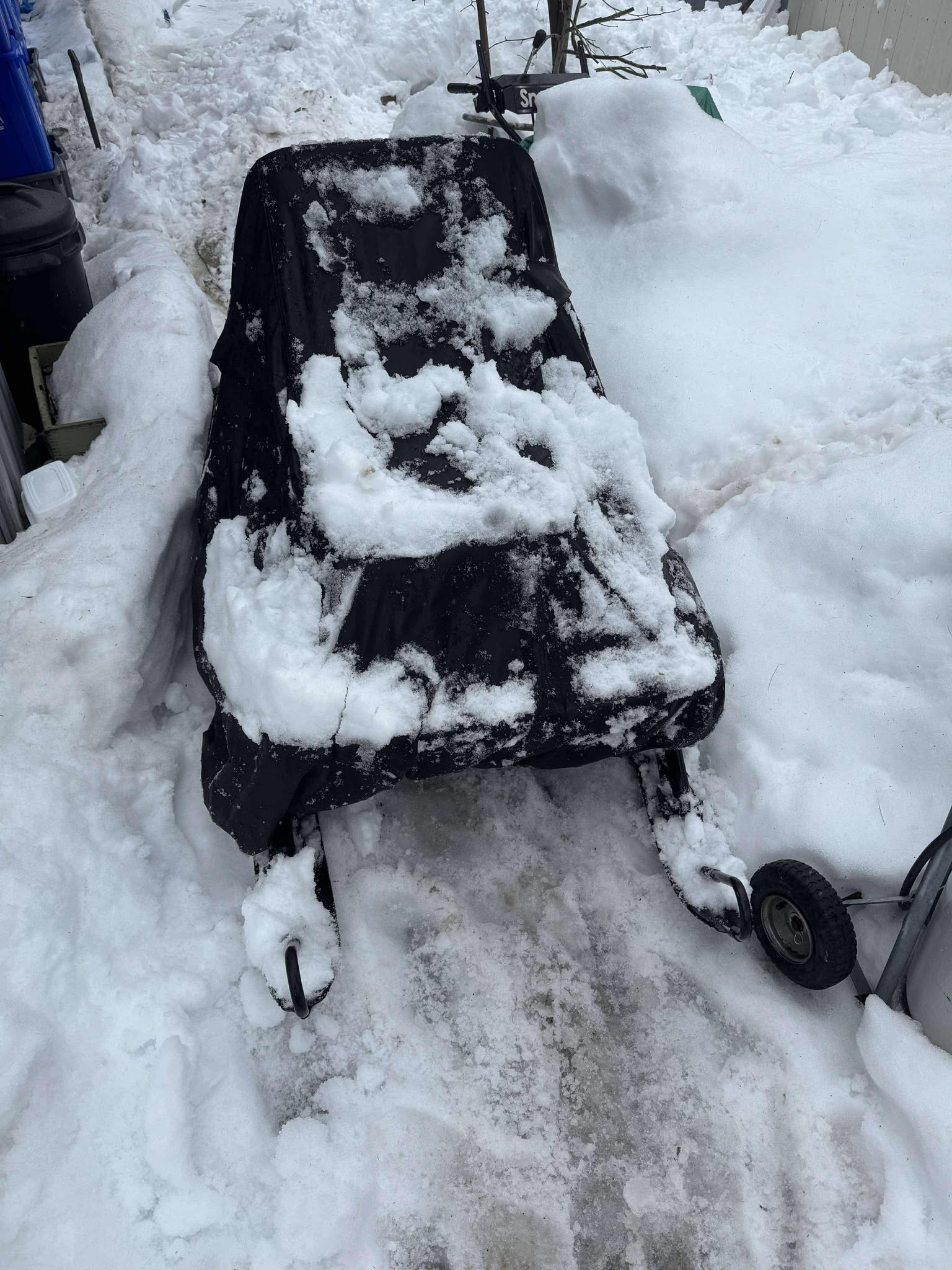 Snow