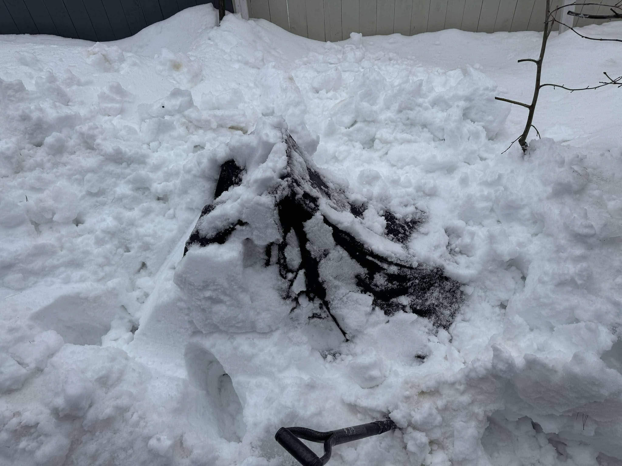 Snow