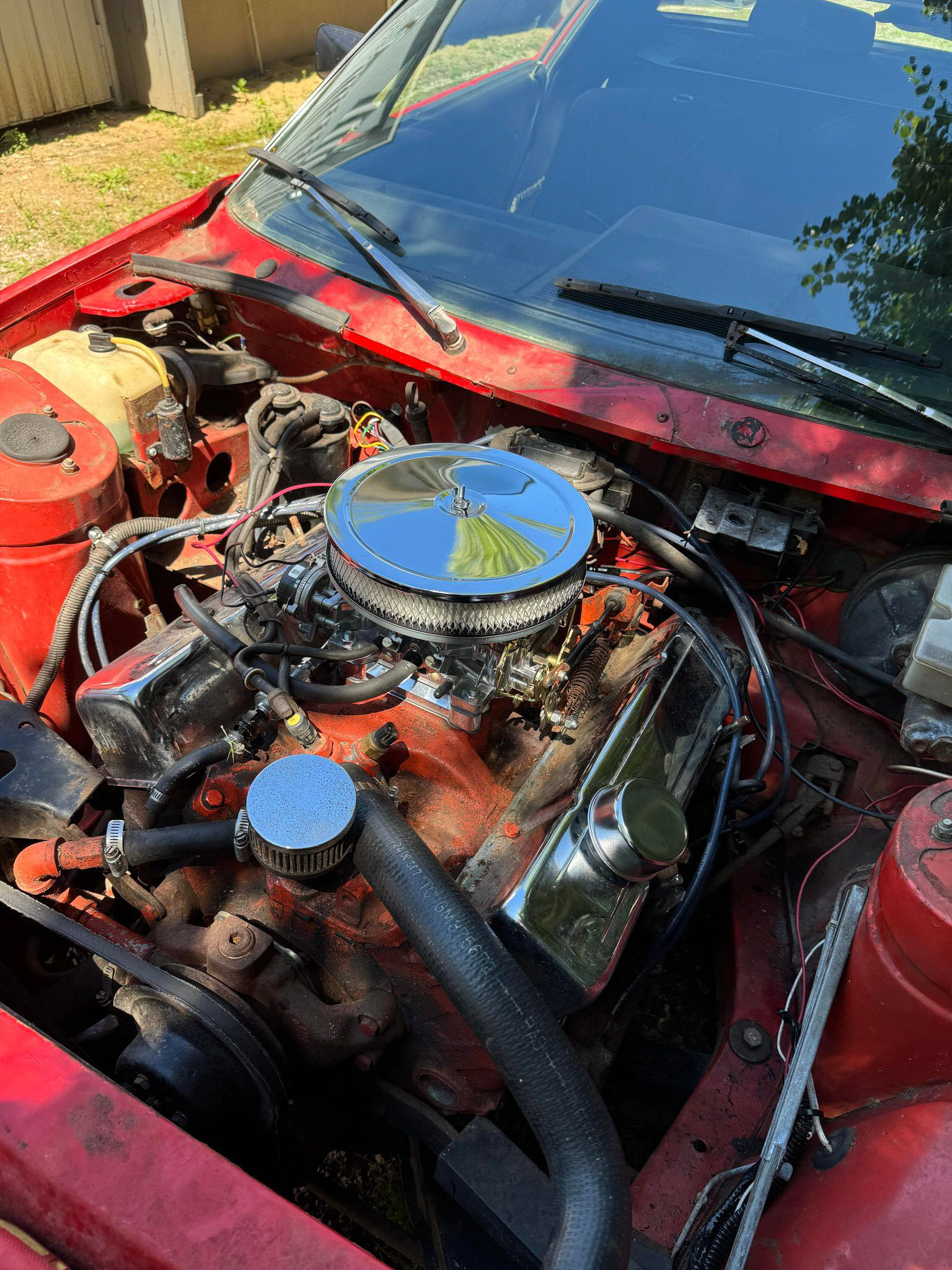 The TR7 engine, June 2024